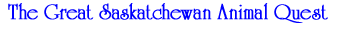 The Great Saskatchewan Animal Quest