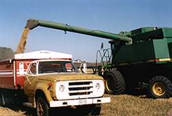 When the combine hopper is full, we transfer the grain into a truck and keep on rollin'. 