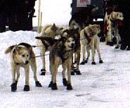 An unidentified team prepares for the mass restart at La Ronge.