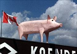Englefeld's pig in the sky.