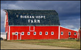 Riskan Hope farm near Aylesbury on Highway 11