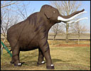 Wally the wooly mammoth at Kyle on Highway 4